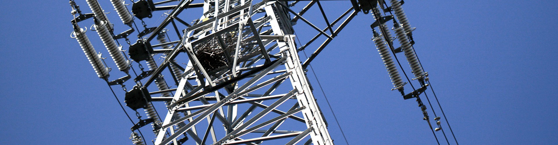 百富论坛手机版