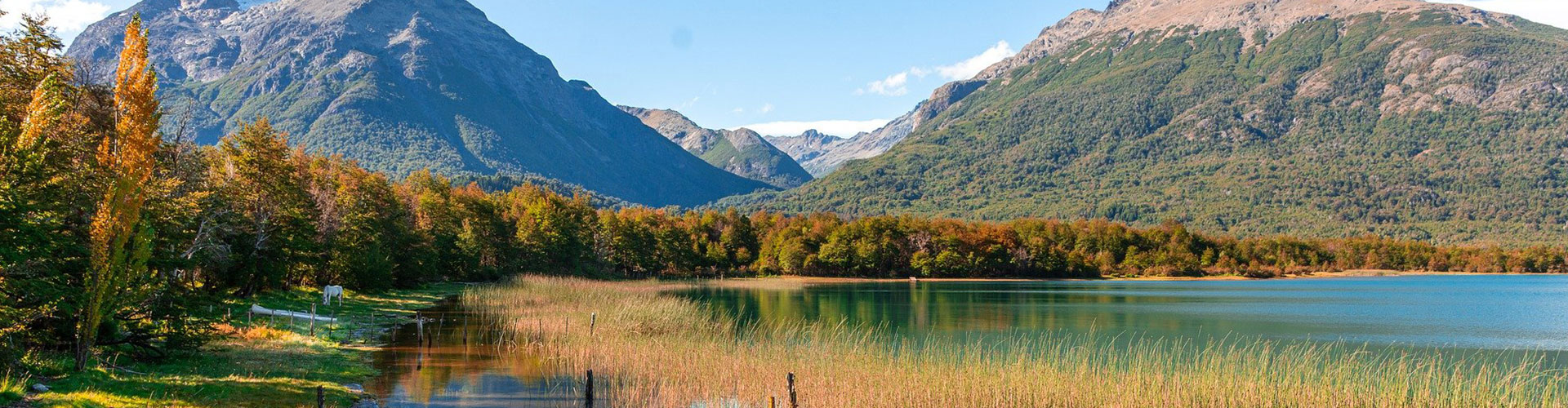 百富论坛手机版